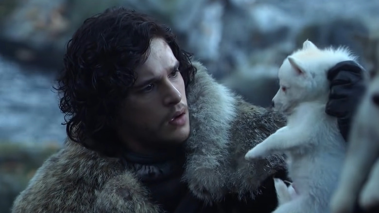Jon Snow holding Ghost