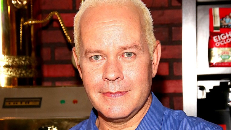 James Michael Tyler as Gunther in Friends