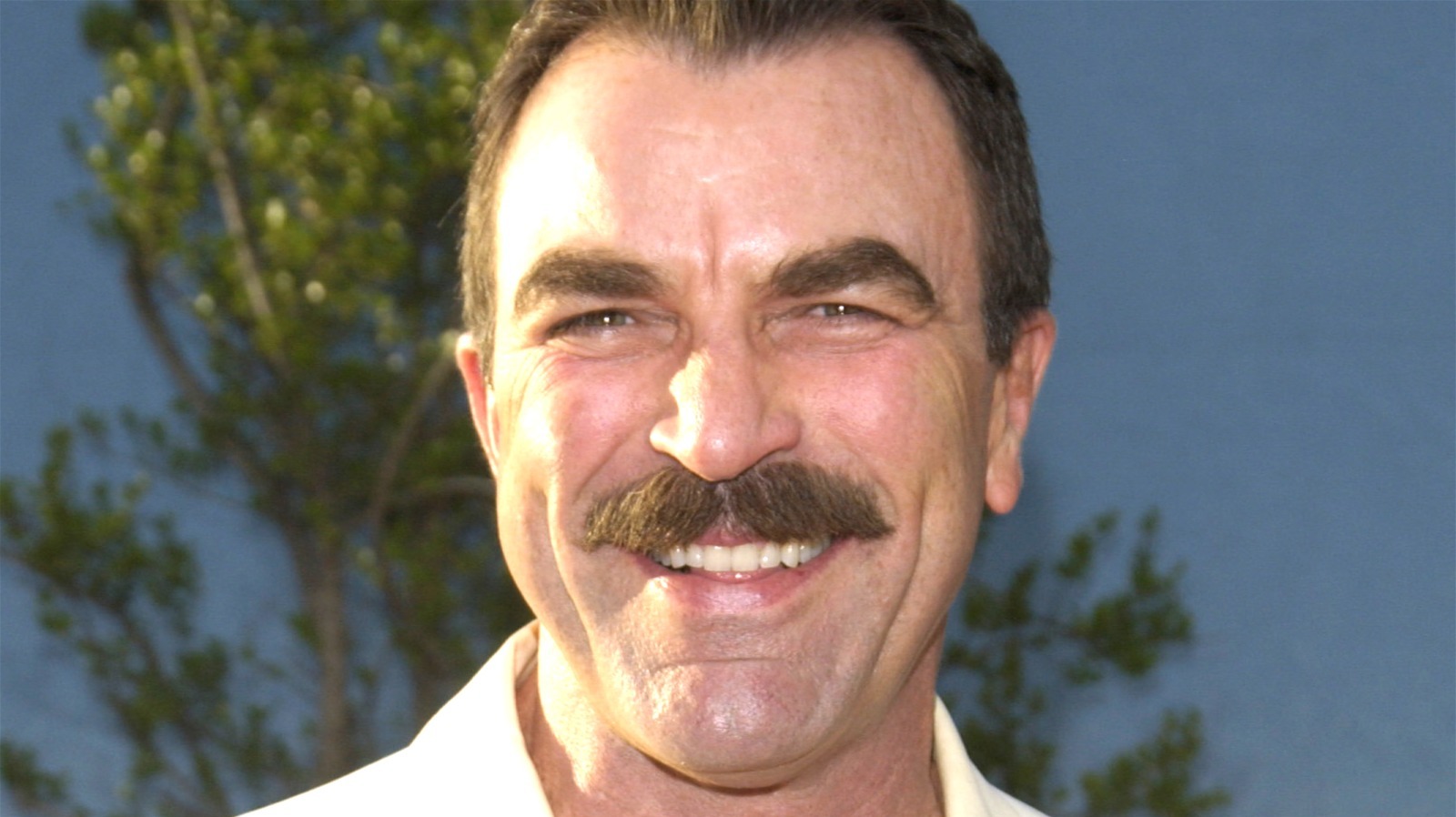Did Tom Selleck Pass Away Today Did Tom SelleckAI Roleplay Stories And