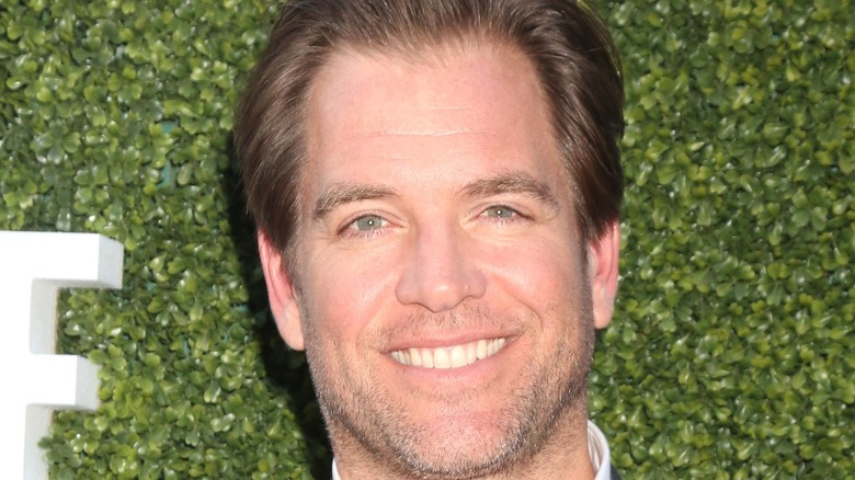 Michael Weatherly smiling