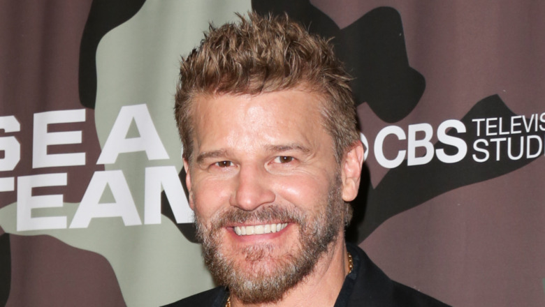 David Boreanaz's Hair Transformation: From Dark to Blonde - wide 9