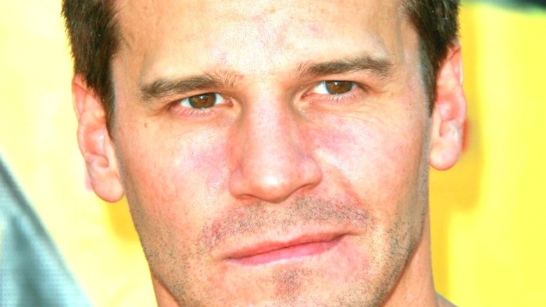 David Boreanaz yellow background