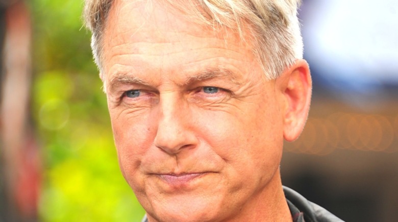 Mark Harmon as Leroy Jethro Gibbs