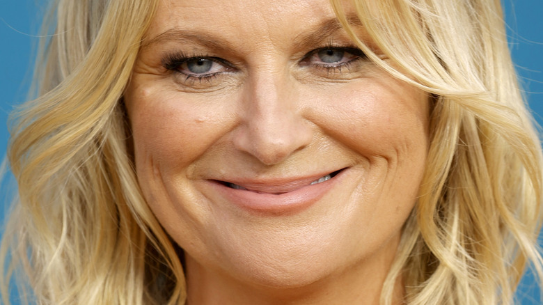 Amy Poehler at the Emmys