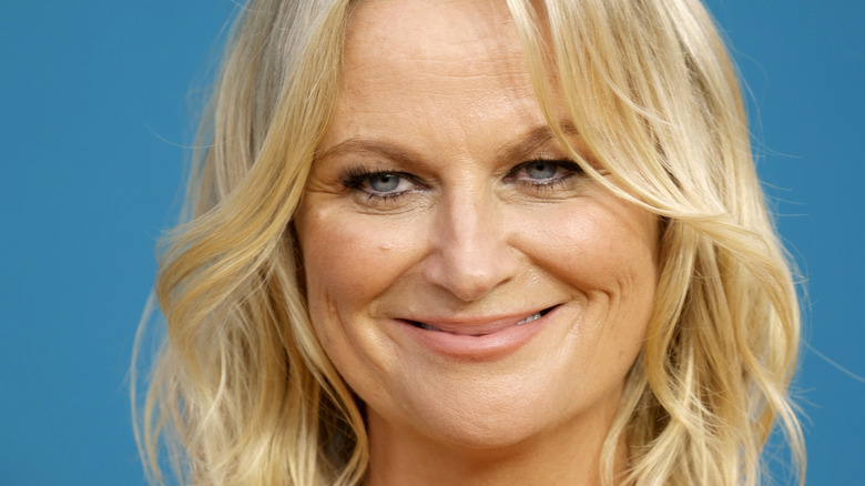 Amy Poehler at the Emmys