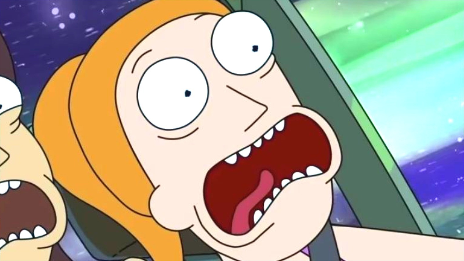 Rick And Morty Season 5 Episode 11 How Rick And Morty Fans Really Feel About Season 5 Episode 5