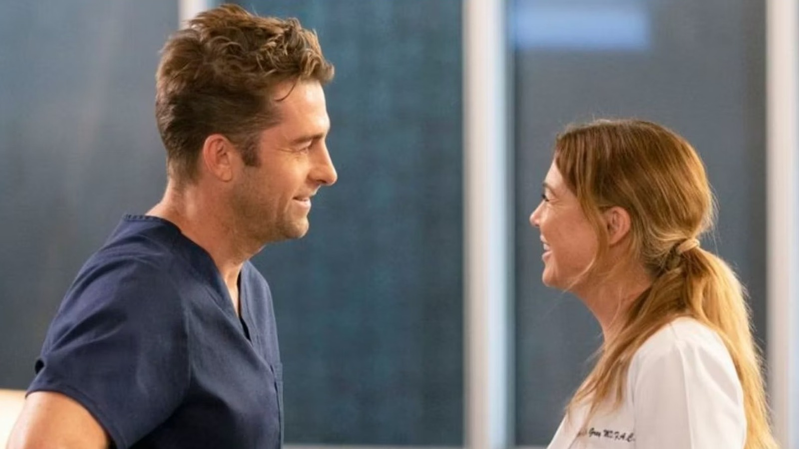 How Scott Speedman Behaved On Grey’s Anatomy, According To Ellen Pompeo – Looper