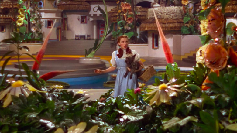 Dorothy's surprised she's not in Kansas