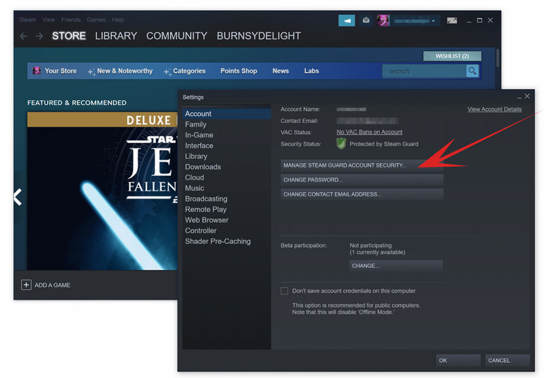 Don't Be a Game Hoarder. Share Your Steam Library With Friends - CNET