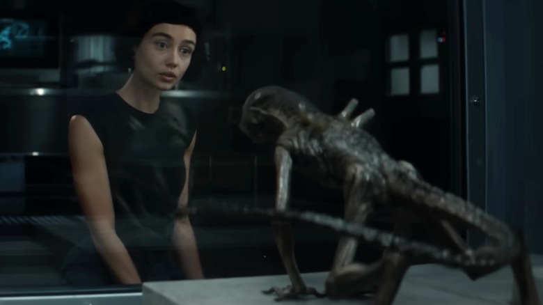 Wendy clicks to a young xenomorph in Alien: Earth (2025)