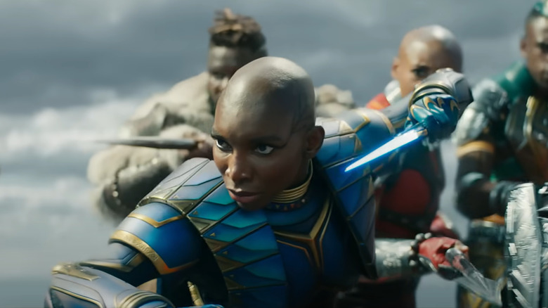 Aneka in fighting stance