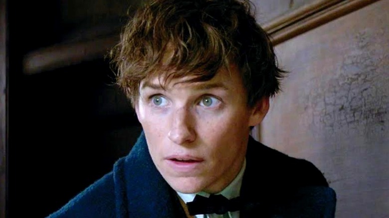 Newt Scamander in a blue coat