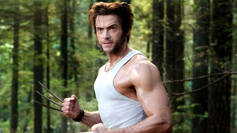 Wolverine in forest