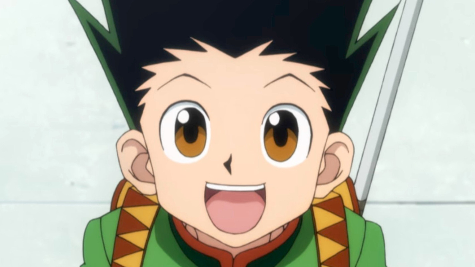 Hunter X Hunter Fans All Seem To Agree On Skipping The 1999 Series