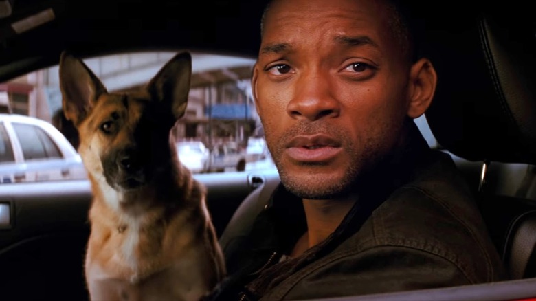 Will Smith and dog in car