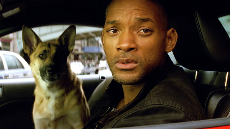 Will Smith in car with dog