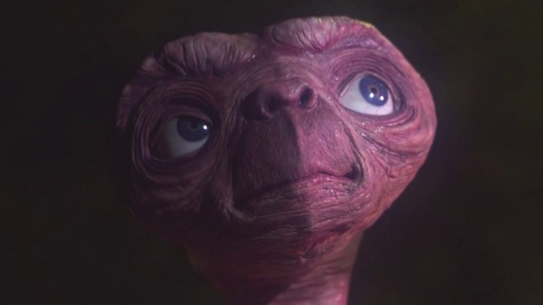 E.T. looks up