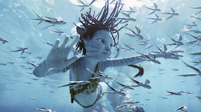 Tuk swims around fish