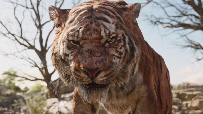 Shere Khan threatens animals