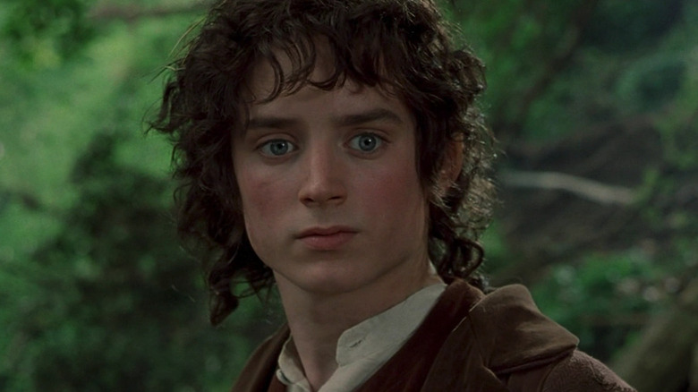 Frodo looking concerned in The Fellowship of the Ring