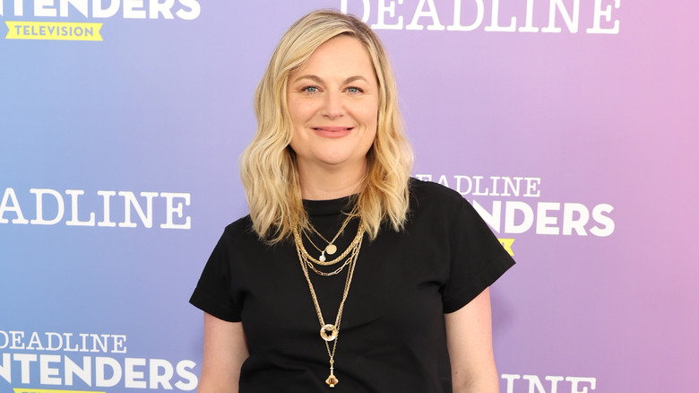 Amy Poehler smiles