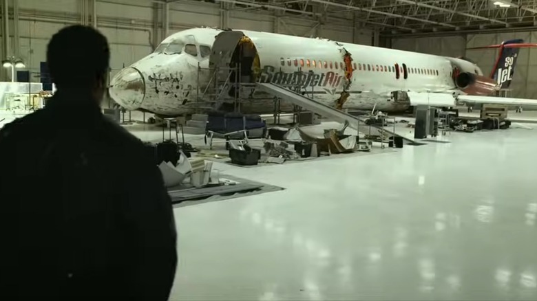 Whip looking at ruined plane