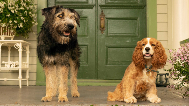 Lady and Tramp pose on the stoop in 