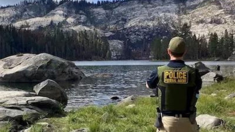 A national parks investigator surveys a park