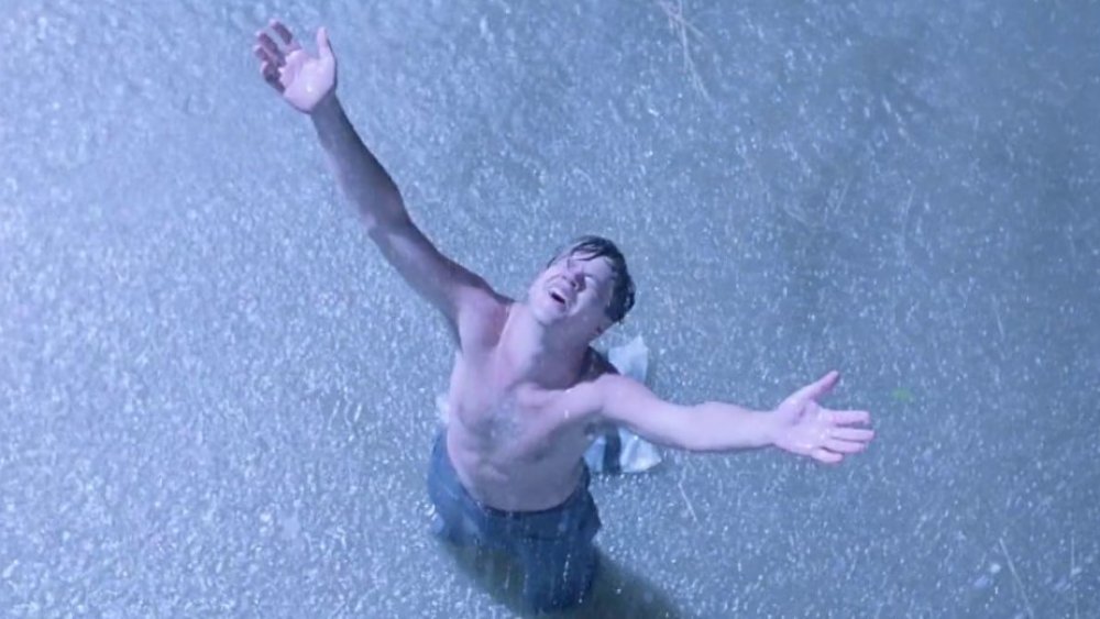 Tim Robbins in The Shawshank Redemption