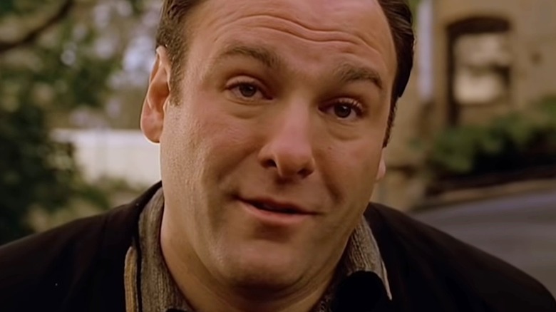 James Gandolfini in "The Sopranos"