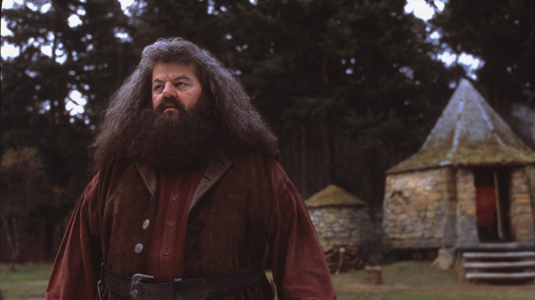 Robbie Coltrane in Harry Potter