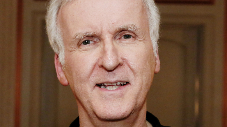 James Cameron needing a loan