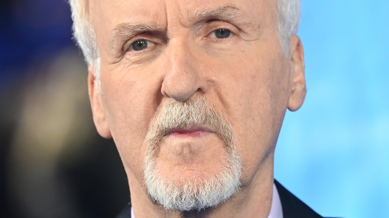 James Cameron at film premiere