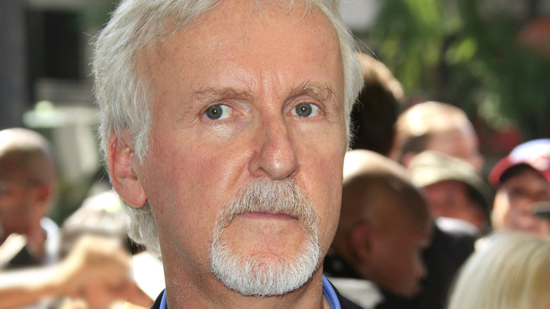 James Cameron at a major press event