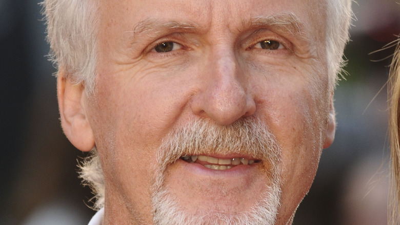 James Cameron at a press event