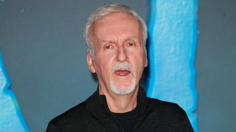 James Cameron at a press event