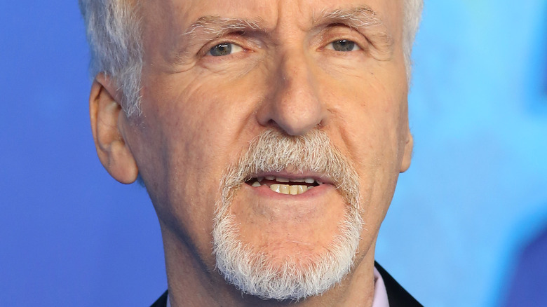 James Cameron at event