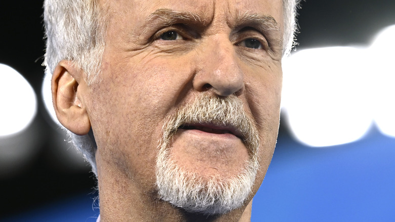 James Cameron at a premiere