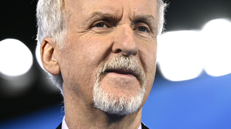 James Cameron attending LA event 