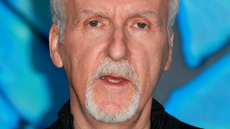 James Cameron delivering a speech 