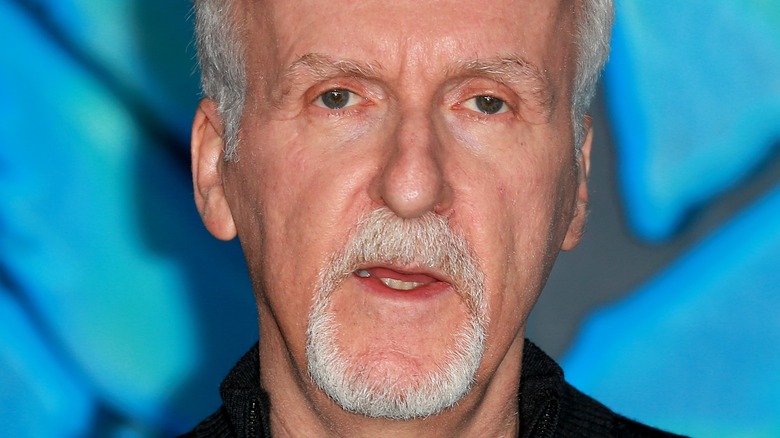 James Cameron at an Avatar event