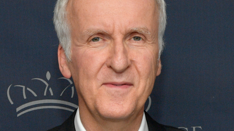 James Cameron attends event 