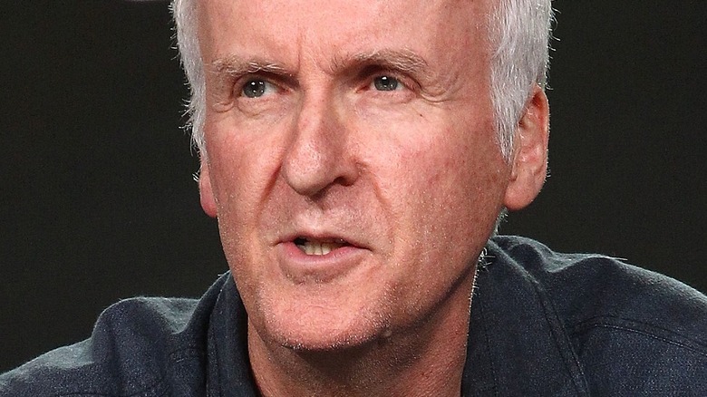 James Cameron Face Talking