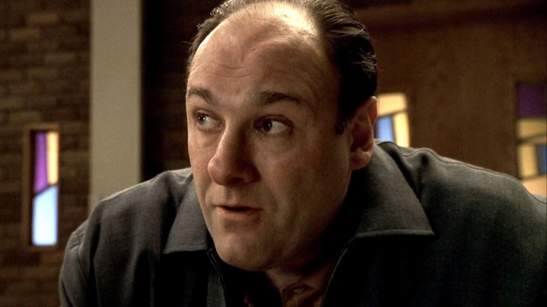 Tony Soprano eyebrows raised