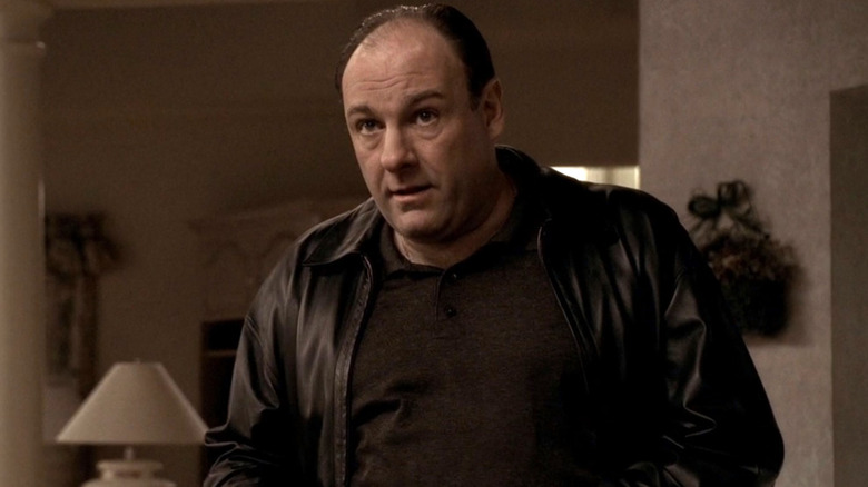 Tony Soprano leather jacket looking serious