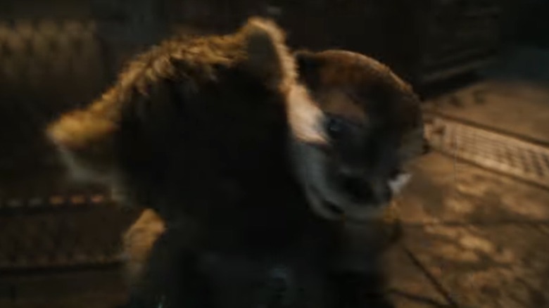 Rocket and Lylla hugging