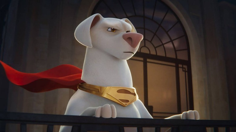 Krypto overlooking Metropolis