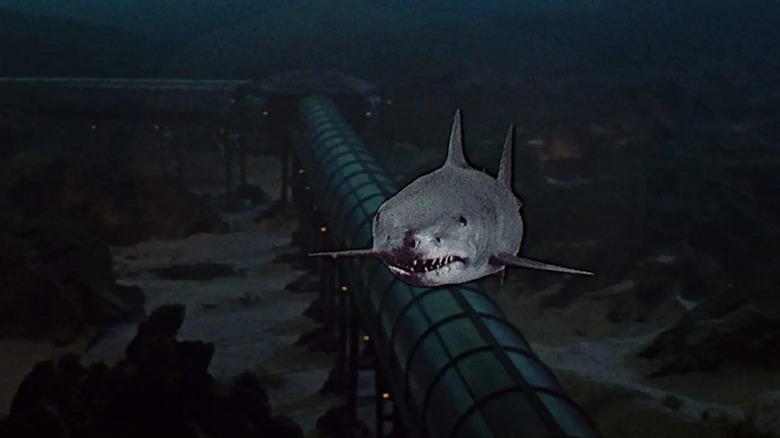 A shark swimming with a 3D effect