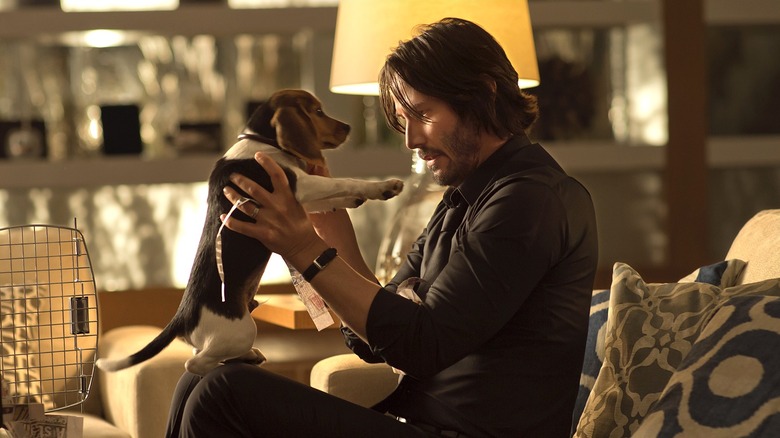 John holding puppy Daisy in John Wick (2014)