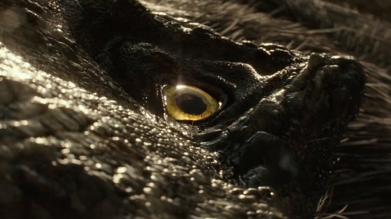 Dinosaur eye in Jurassic World: Dominion